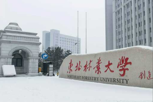 27省美术艺考生报考建议！统考235/文化390分可报考哪些院校？