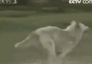 乌龙山剿匪记演员现状，何山刚去世，田秀姑成作家，四丫头离婚