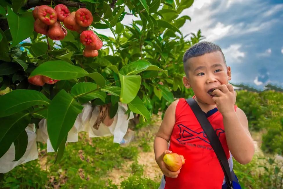 喜欢了！在这座无人在意的五线城市，实现了水果自由、鲜花自由