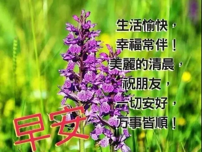 早上好动态祝福问候图片祝福语，祝您快乐健康，幸福吉祥