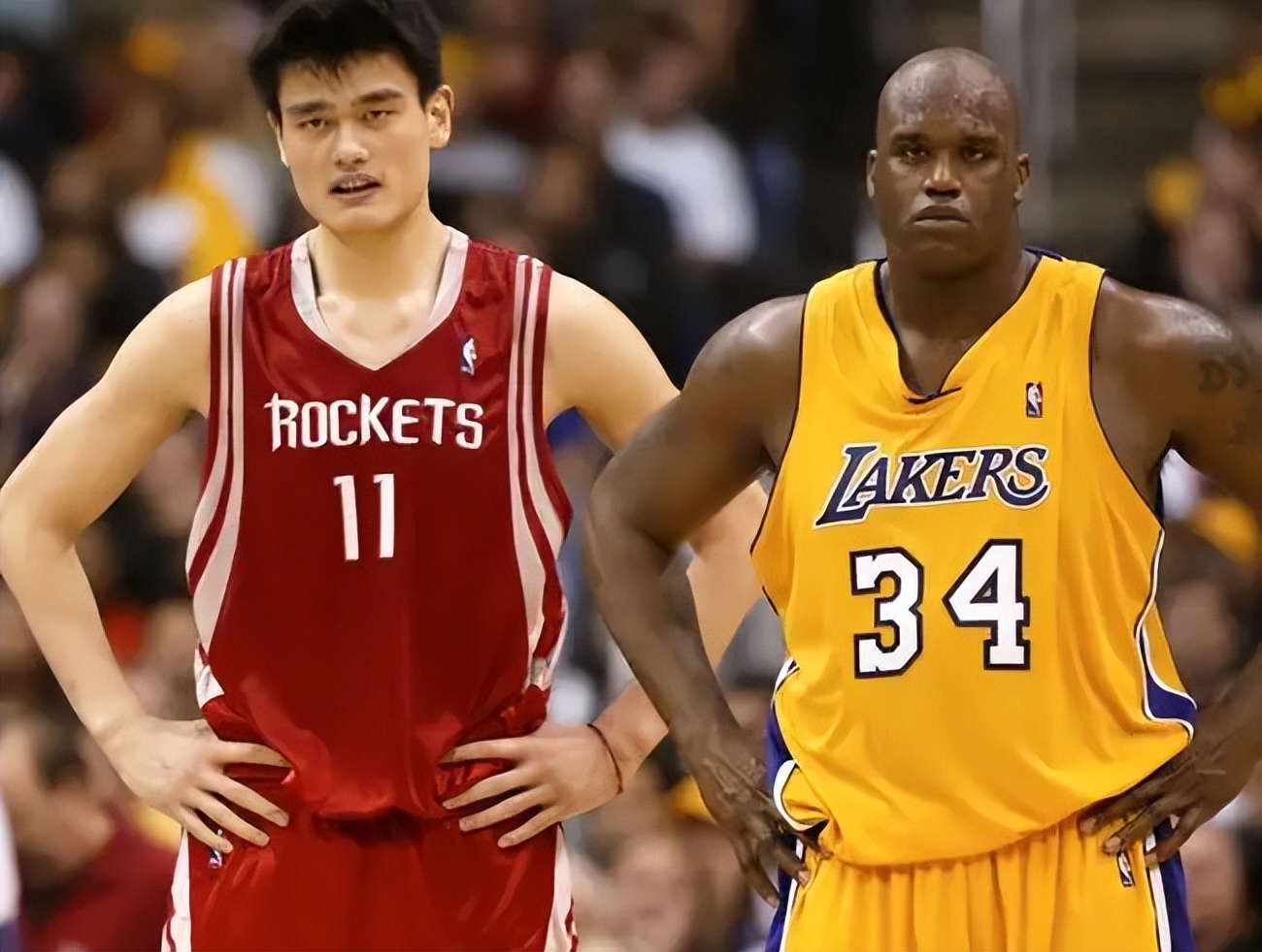 中国参加nba的人有哪些（六大登陆NBA的中国球员，姚明成就最高，曾凡博会是下一个吗？）