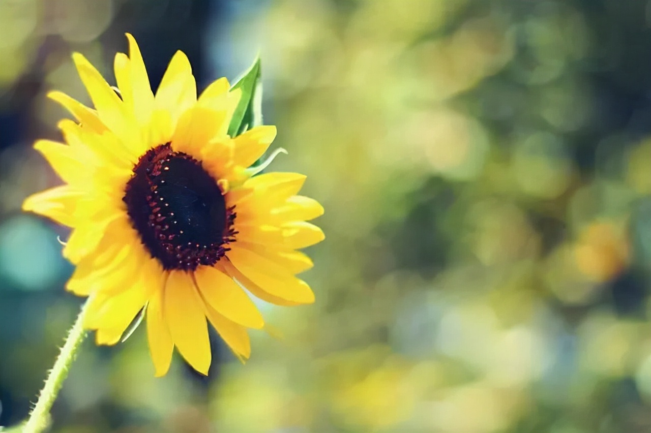 撩中年女人的最好方法：在微信上发三句话