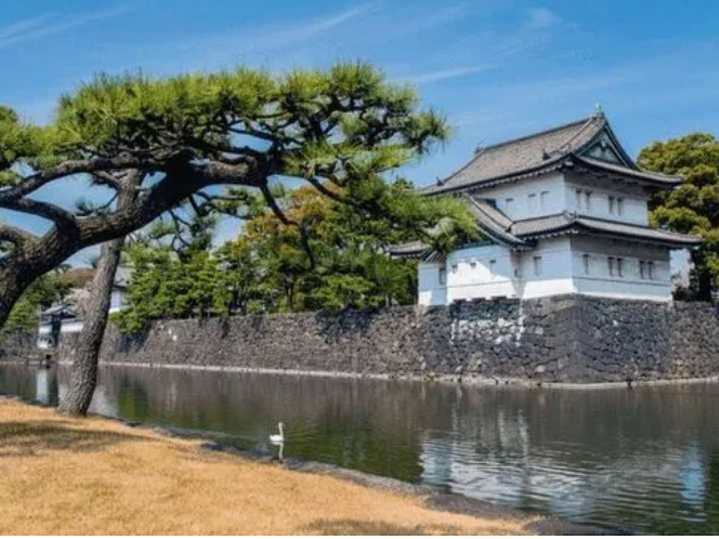 日本美智子皇后：我与天皇没爱情，只有子宫被需要