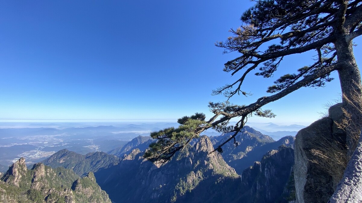 黄山四绝分别是什么（奇松、怪石、云海、温泉）-第7张图片