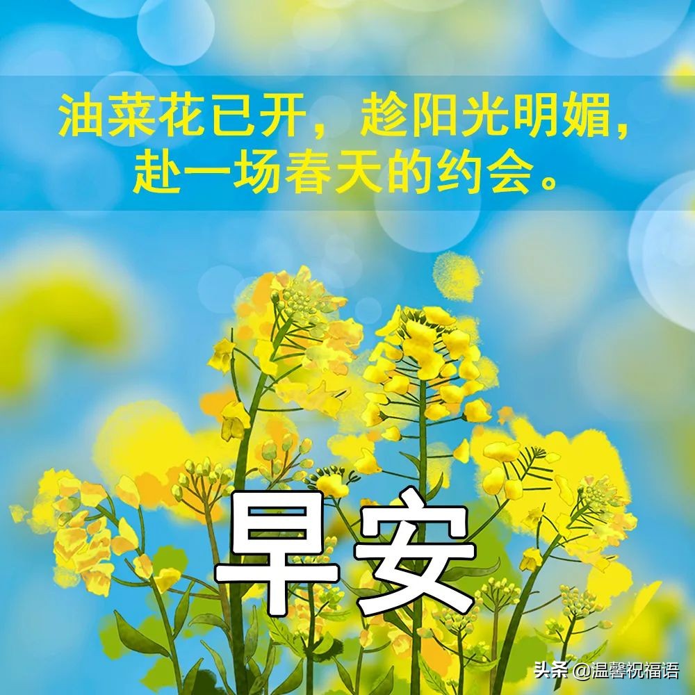 唯美好看的早安图片带祝福语，春日清晨朋友圈早安问候语图片文字