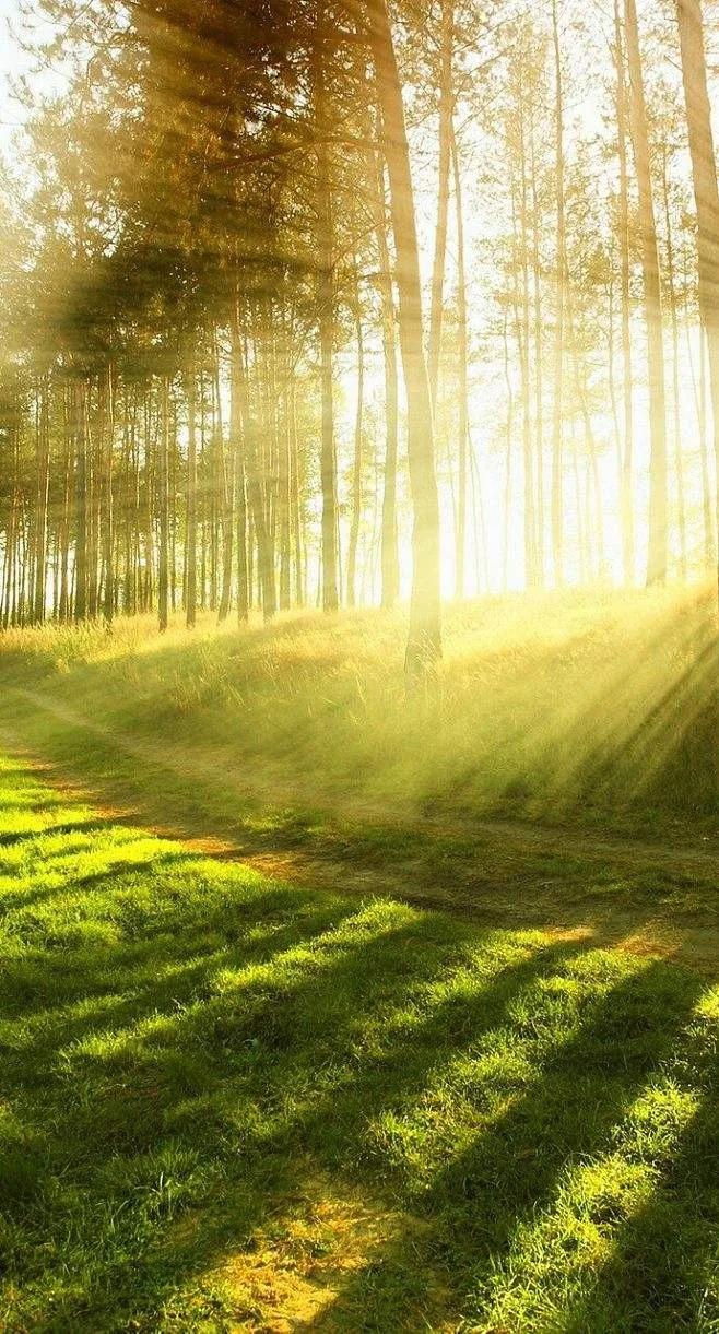 唯美晨光壁纸:清晨的第一缕阳光,迎来新的一天