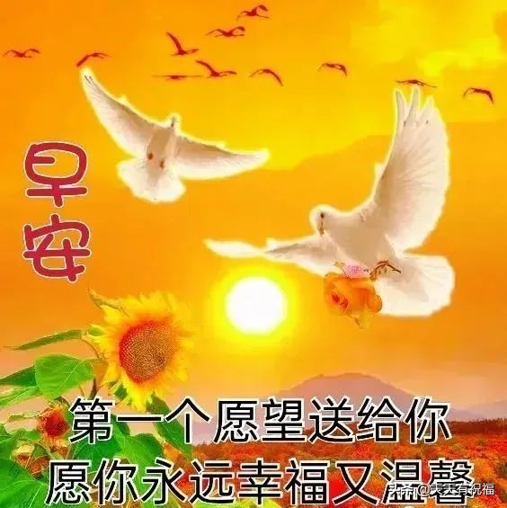 最美阳光暖心的问候语图片带字，唯美好看的早安图片带祝福语