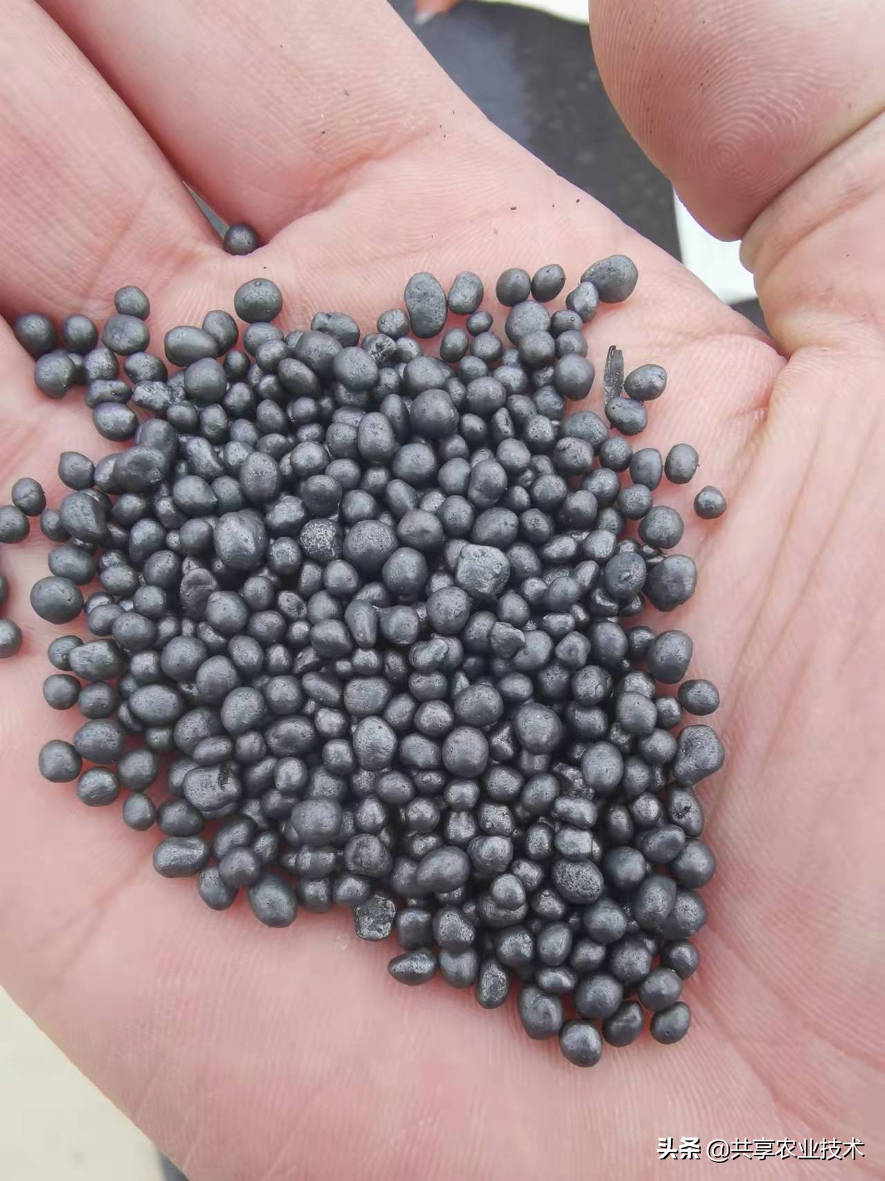 含菌5个亿，价格30元一袋的优质生物有机肥，到底靠谱不靠谱？