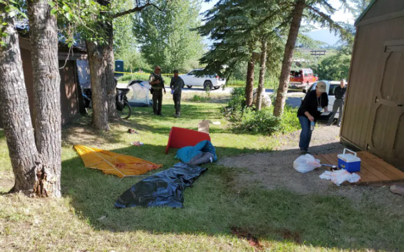 美国女子在蒙大拿州露营，因果香洗发水闻起来像食物，被野熊杀害