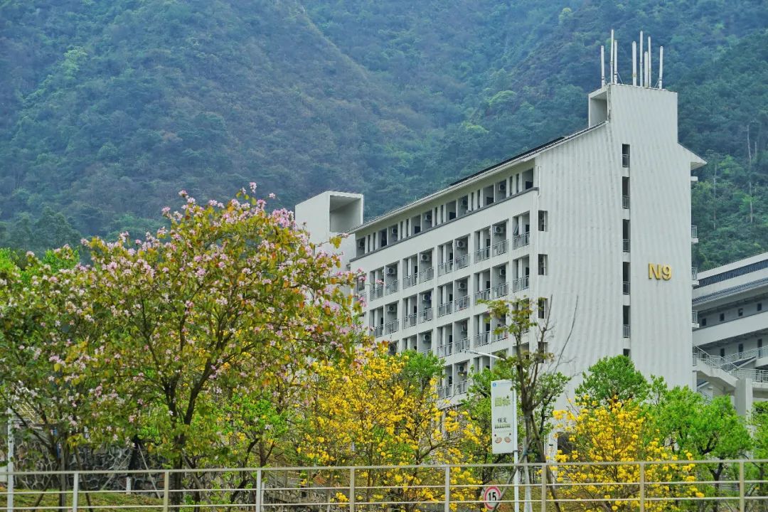 广州民航职业技术学院 广州市医药职业学校分数线-伙伴百科网-让你的