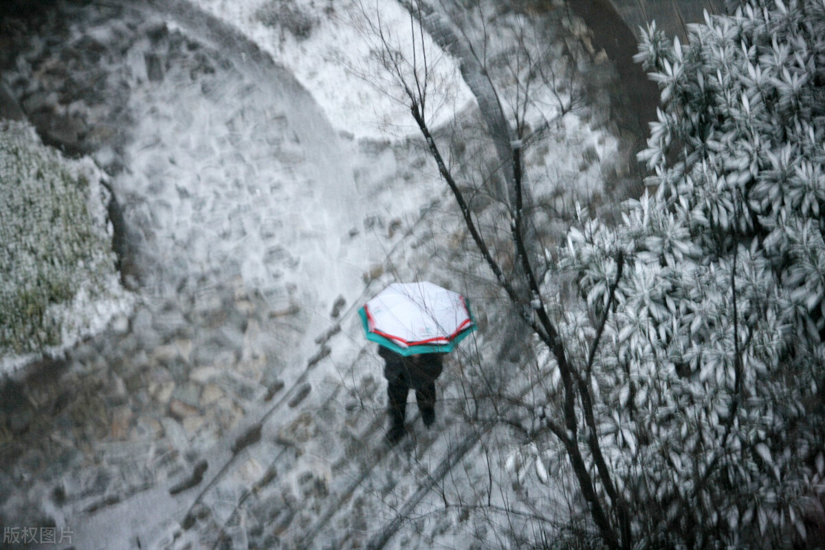 情感文字 一场飘雪，让我静候在某个寒风凛冽的夜晚