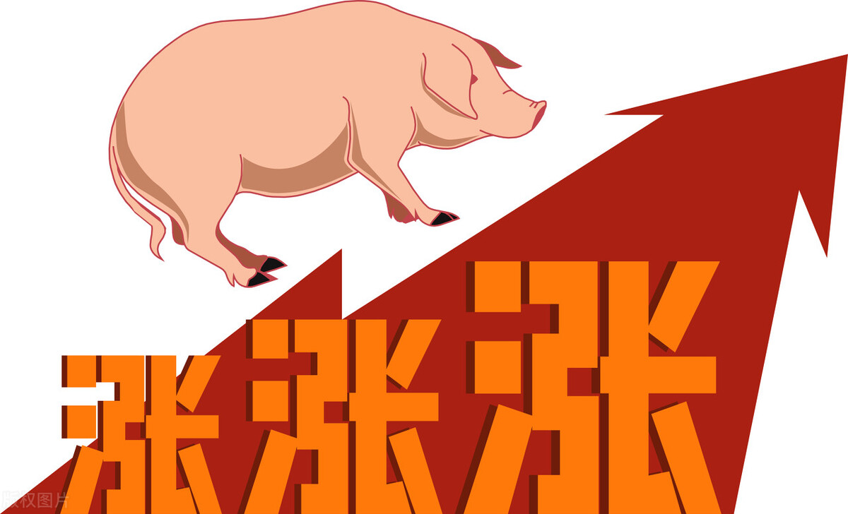 生猪行情今日猪价上林县「今天猪价行情涨跌表今日猪价涨跌」