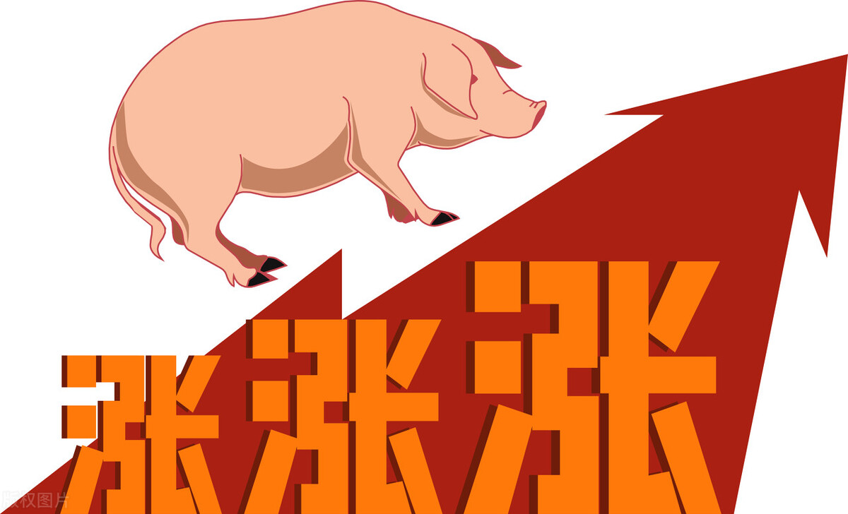 生猪价格要起飞，刚破8元就要破9元，6月14日全国生猪价格