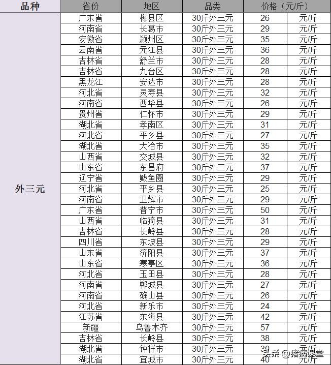 乳猪价格今日猪价「乳猪价格今日猪价格全国走势」