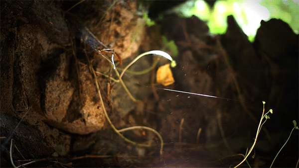 6则寓言，故事很短，道理很深，令人深思