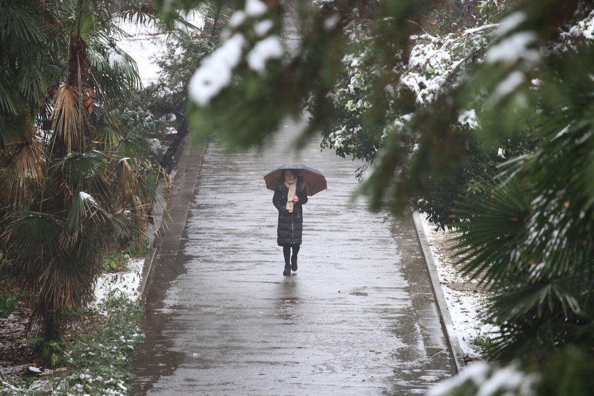 寒假留下来看校，在校园里欣赏到绝美的风景