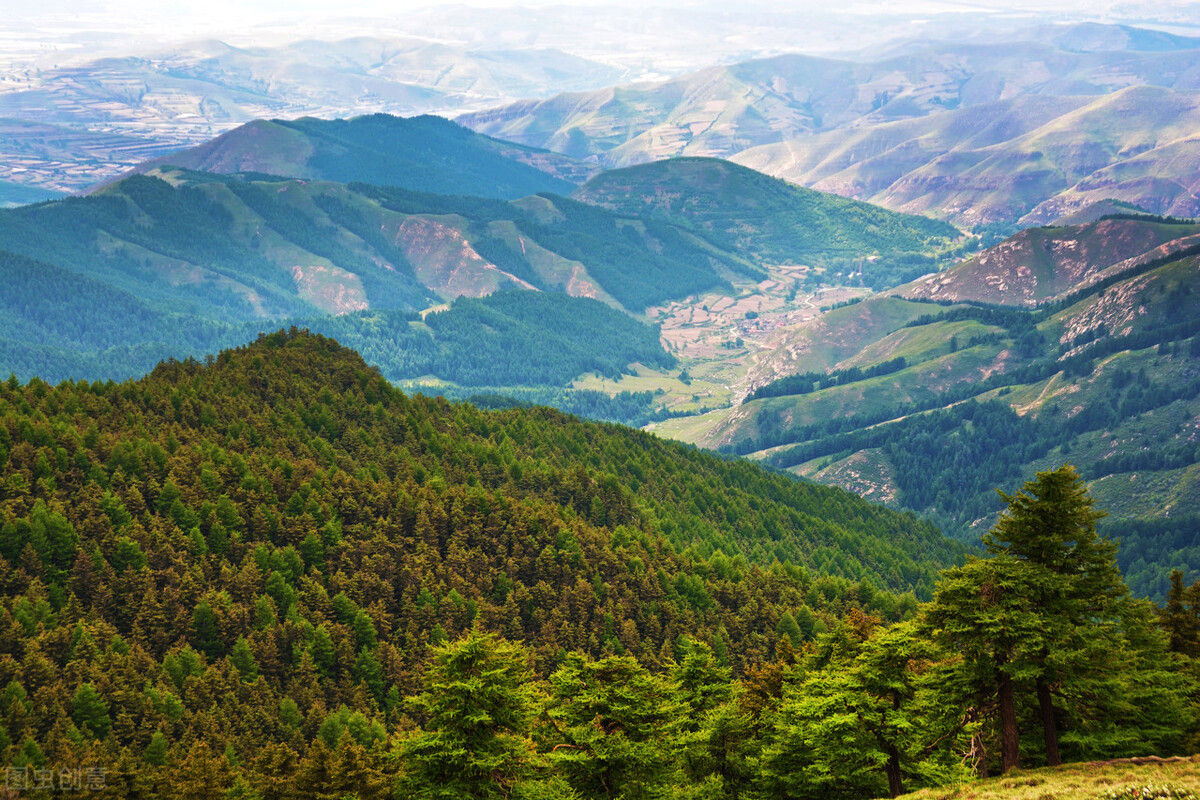 高考状元杨仁荣留下神秘短信后消失，母亲身患癌症，苦寻儿子9年
