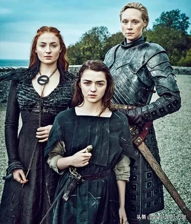 《权游》人物志——布蕾妮