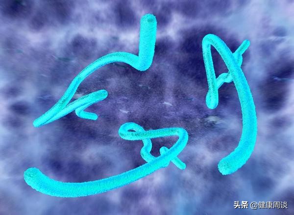 女子乳房出现肿块，医生手术取出3条活虫，都是这些坏习惯惹的