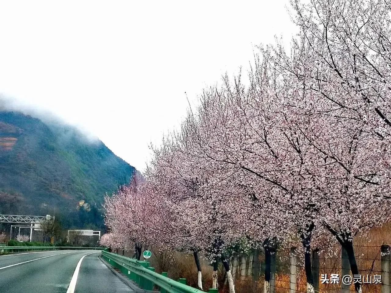 多年自驾旅行经验总结：如何保障与朋友结伴出游时旅途愉悦