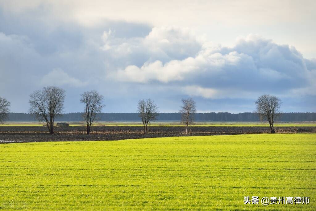 我把你还给天地，根据法律规定，死亡证明在哪开