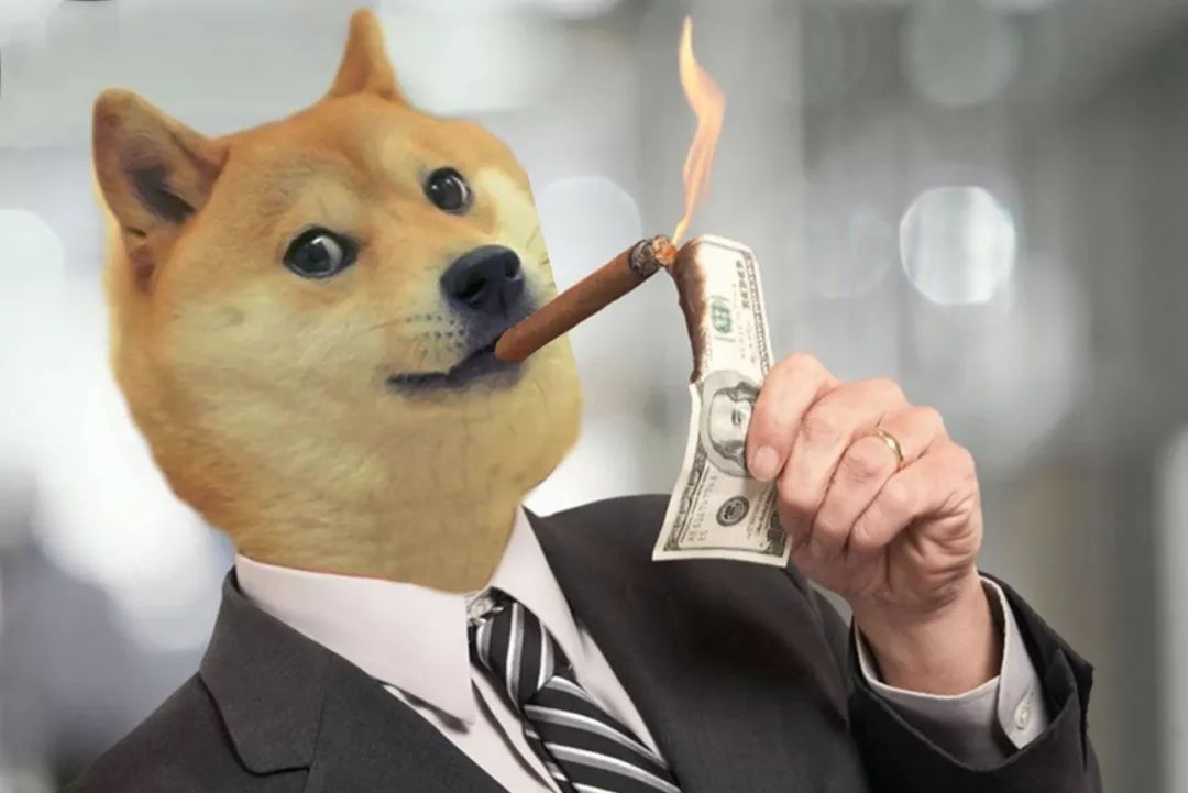 狗狗幣(doge)的價格,市值和其他一切