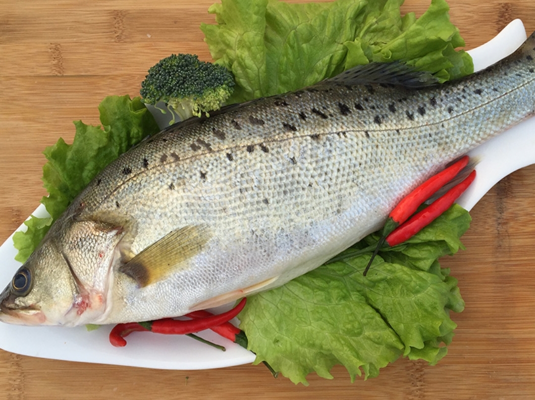 海鱸魚又稱花鱸魚,是市場上比較常見的種類,價格也比淡水鱸魚低一些