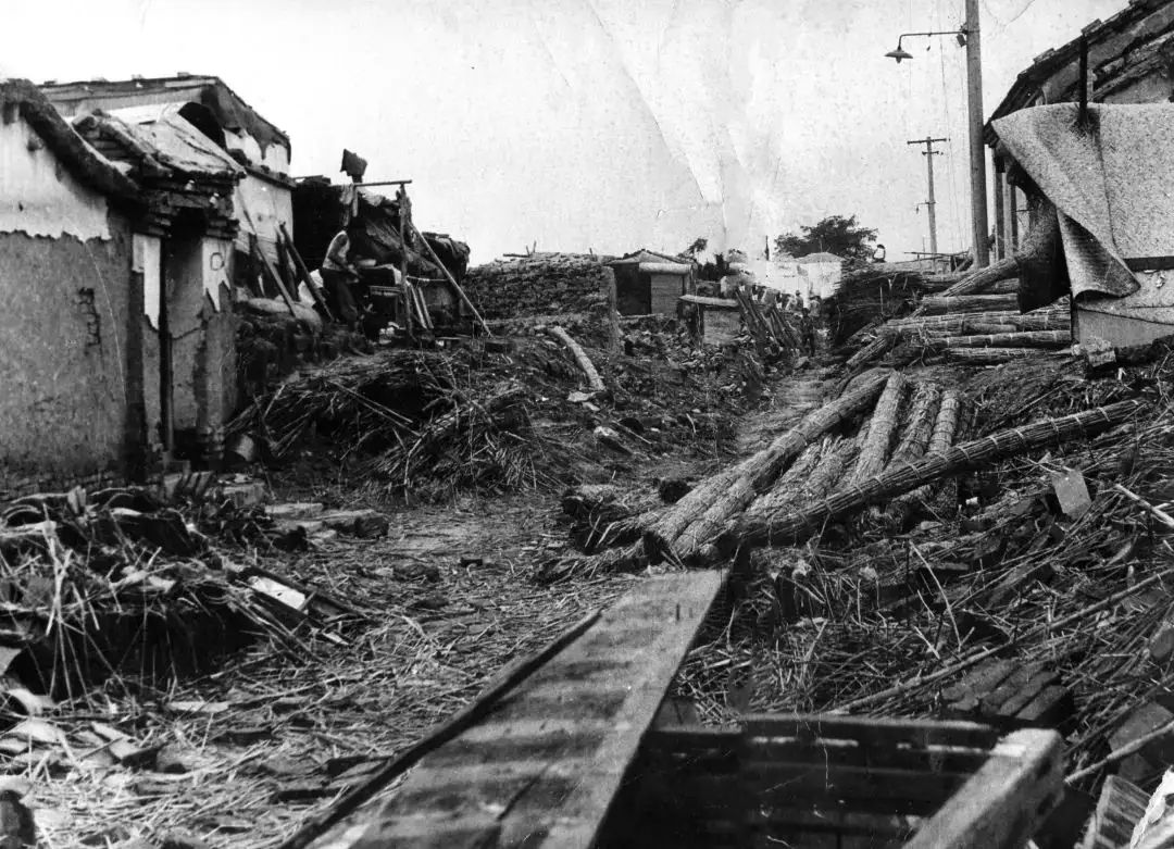 神秘的群演、张子枫的演技、冯导的卑微，成就了这部电影