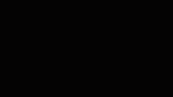 影像瞬间定格大师，佳鑫悦摄像三脚架套装