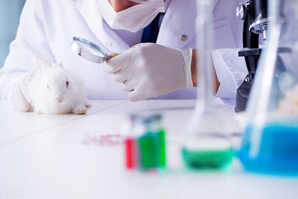 高考 填志愿（高考填志愿如何选择大学专业）