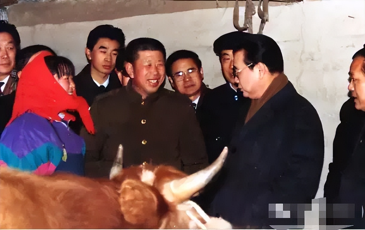 1992年大年三十,上头没在家吃团圆饭,反倒大驾光临养牛场,视察指导