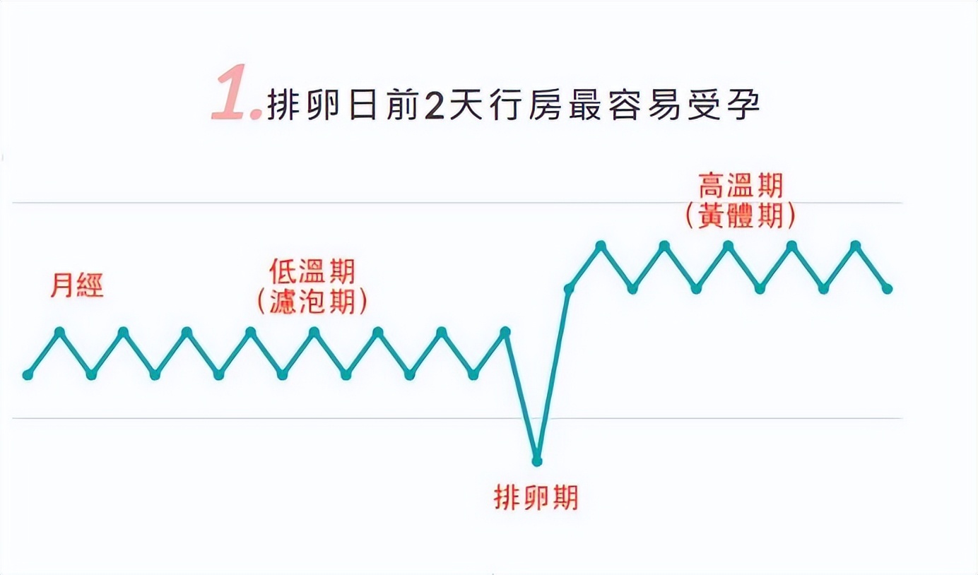 說到受孕,很多夫妻都會錯誤地認為排卵期時同房或排卵後同房受孕概率