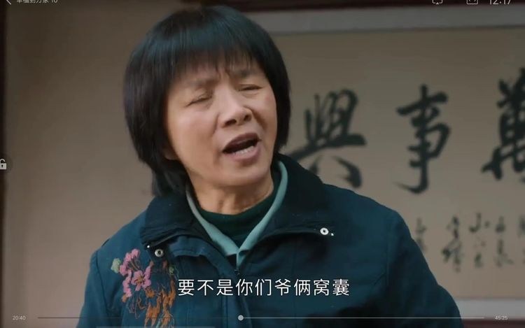 乡村悲剧的背后《幸福到万家》观后感