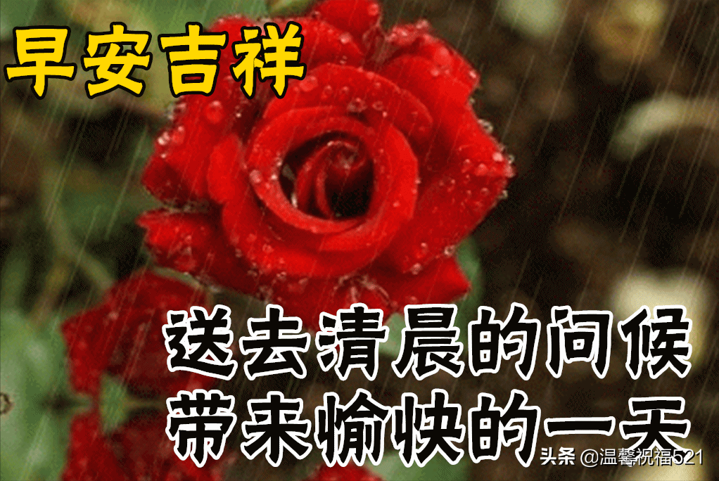 2月19日雨水早上好动态表情图片大全，雨水快乐出门记得带伞