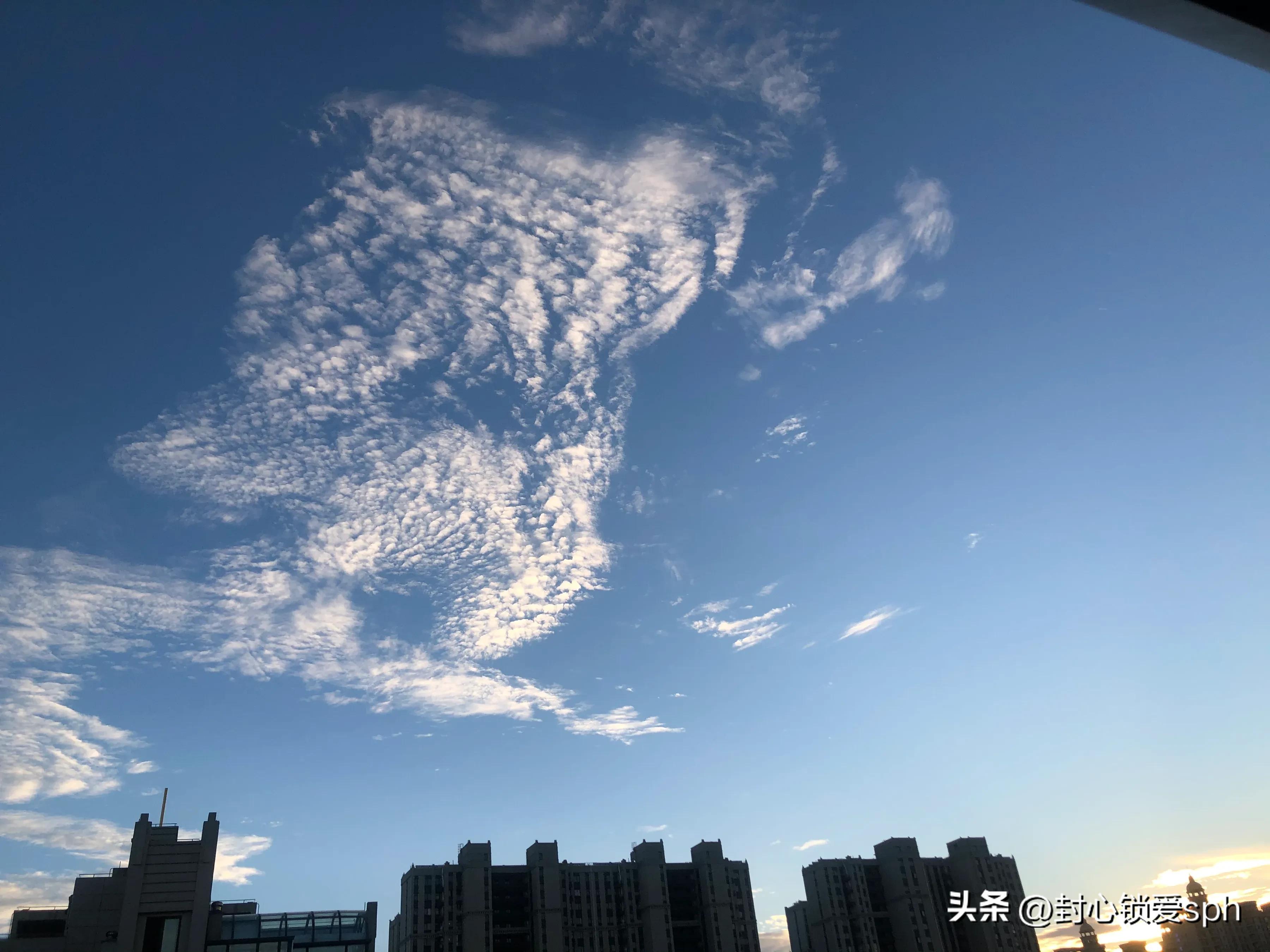 Һϧʲô裨 Һϧʲô裩-ɴӪ