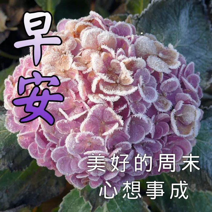 週末早安圖片祝福語 週末愉快圖片帶字大全