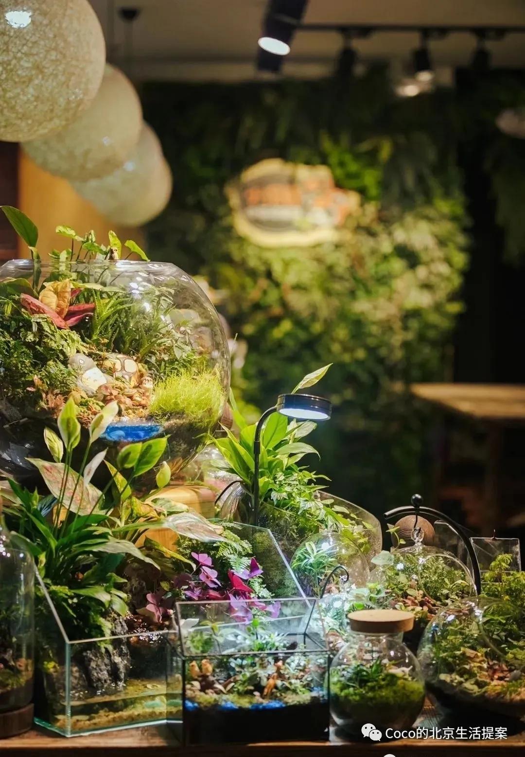 陶艺、丝巾、首饰…北京这9家宝藏DIY小店，每个都想体验一遍