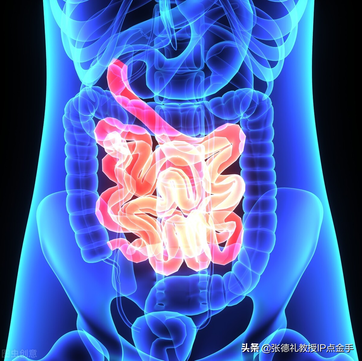 诸平：科学家绘制了单细胞分辨率下完整的人肠道细胞图谱（转载）