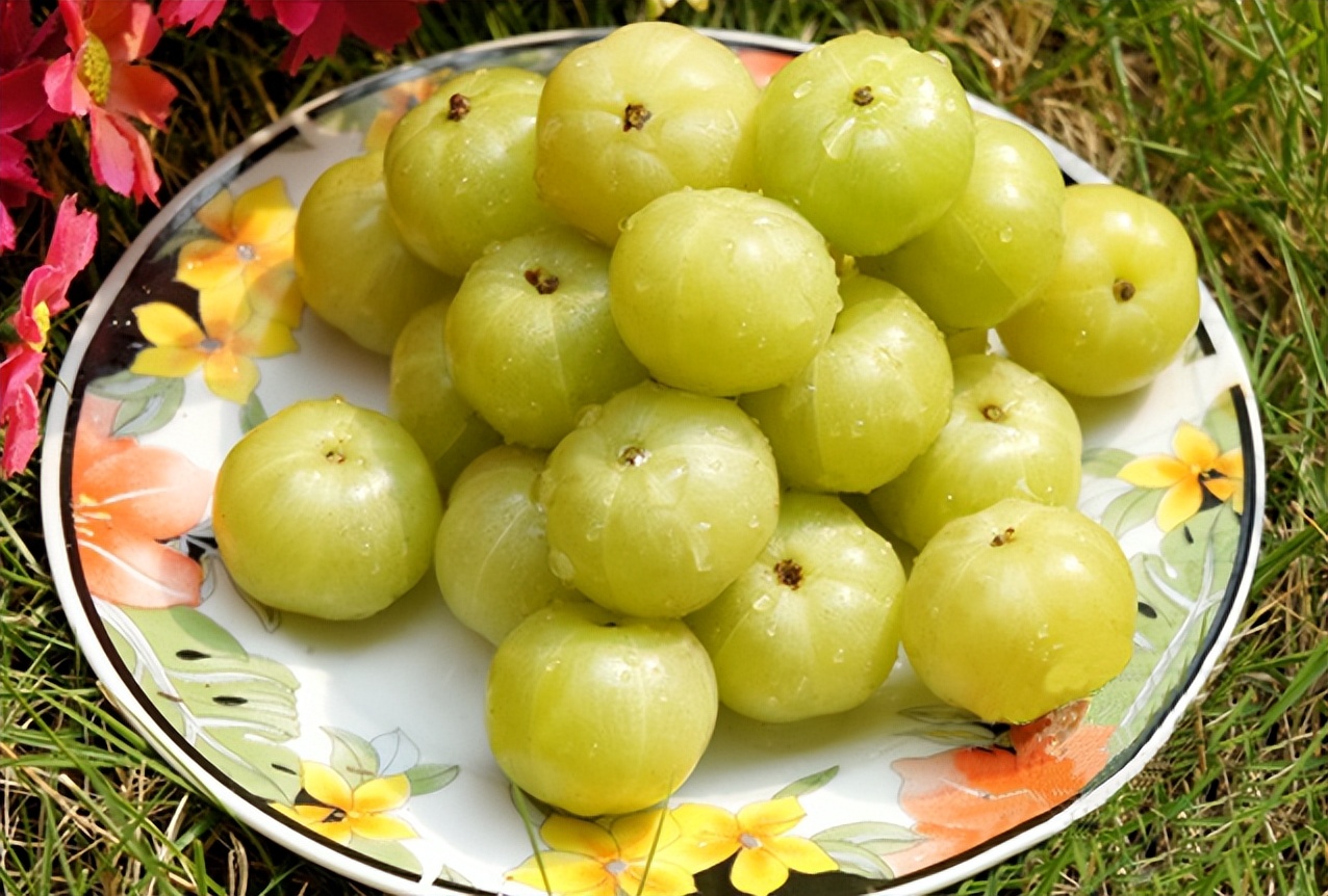 童年不爱吃的余甘果,吃一口就想吐,意外走红后价格涨到25元1斤