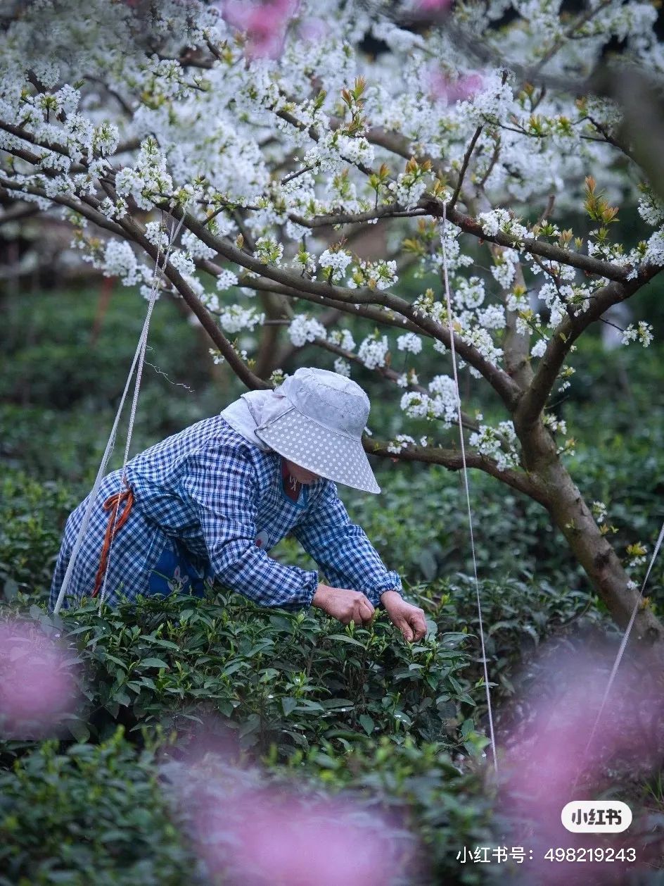 成都市内旅游必去十大景点（成都三日游最佳路线安排）