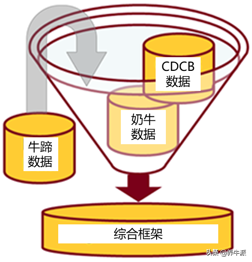 蹄病：是时候采取行动