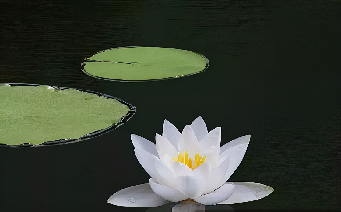 人活一世，要心存善念