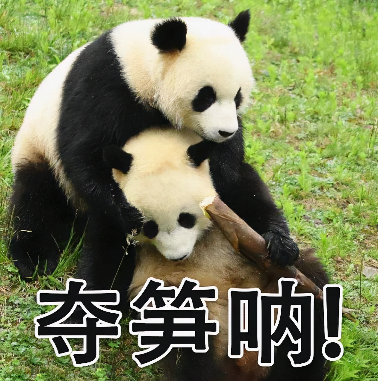 复习！2021的十大热词，莫言都学会了一个