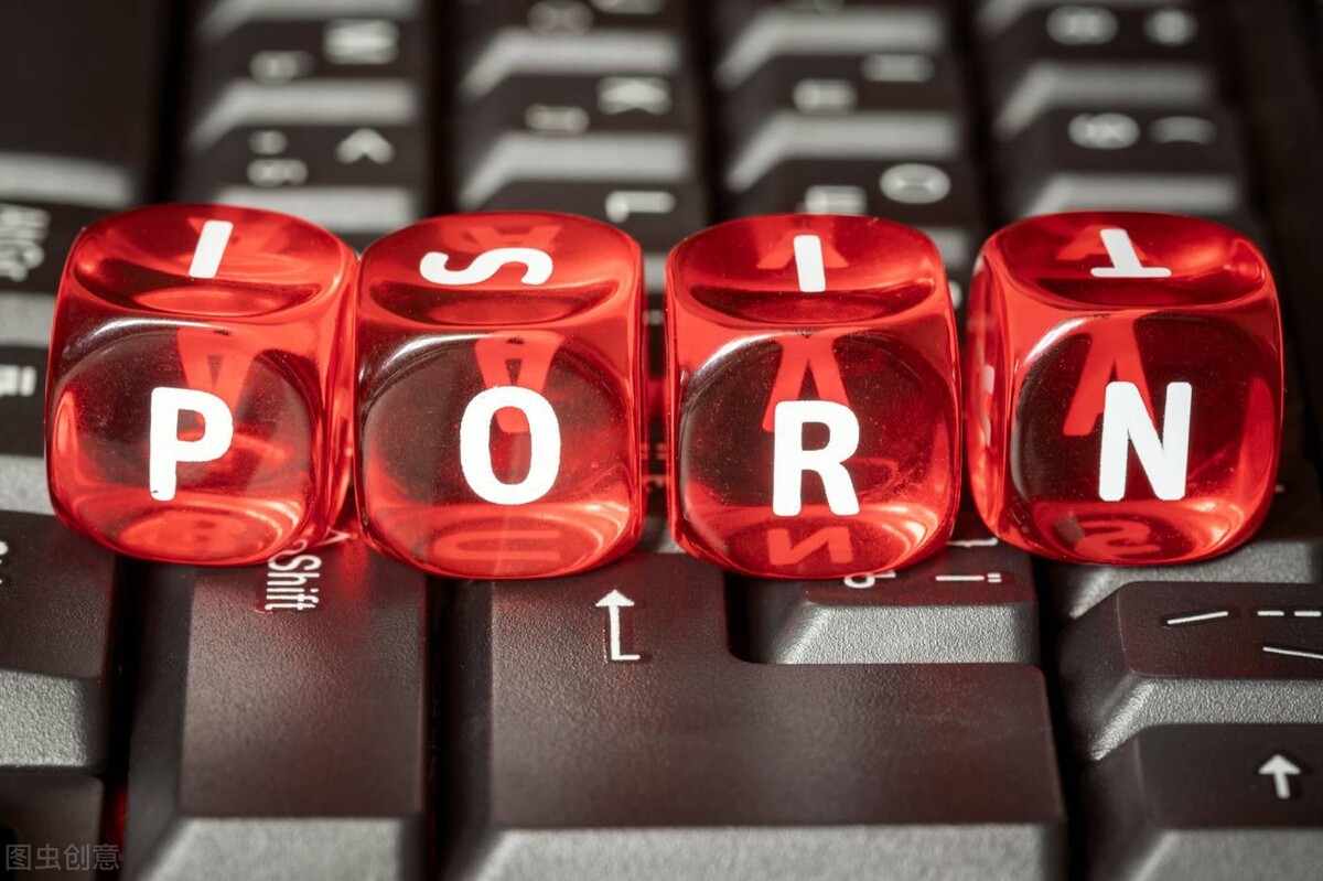 广州女生走私耽美淫秽漫画三千余本被判刑十一年，量刑是否恰当