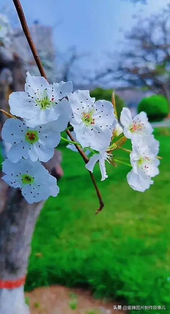 静享这春暖花开，百花争艳的美好时光