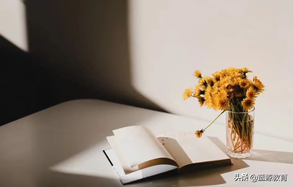 教育理论成人高考（成人素质教育）