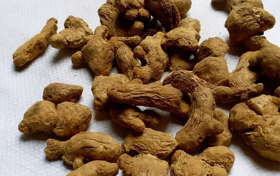 炮姜的性味,功效与干姜同,但其辛燥之性减弱,温里的作用变得缓和而