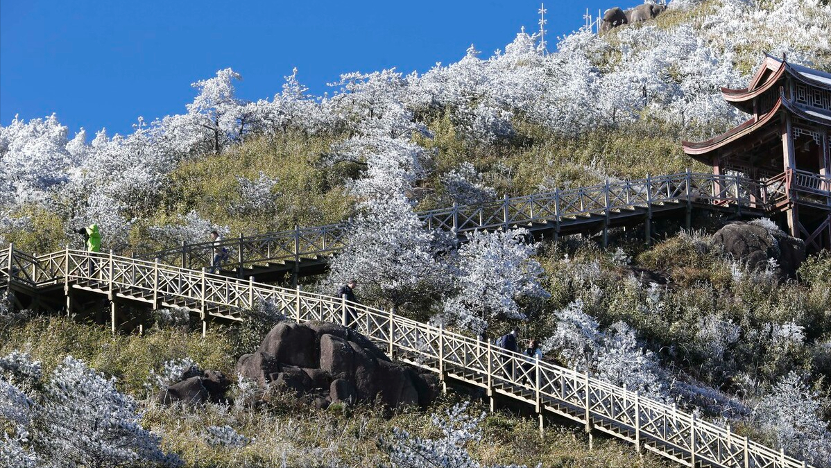 枫景、冰雪、秘境，福建这些美景季节限定胜地，适合慢慢徒步欣赏