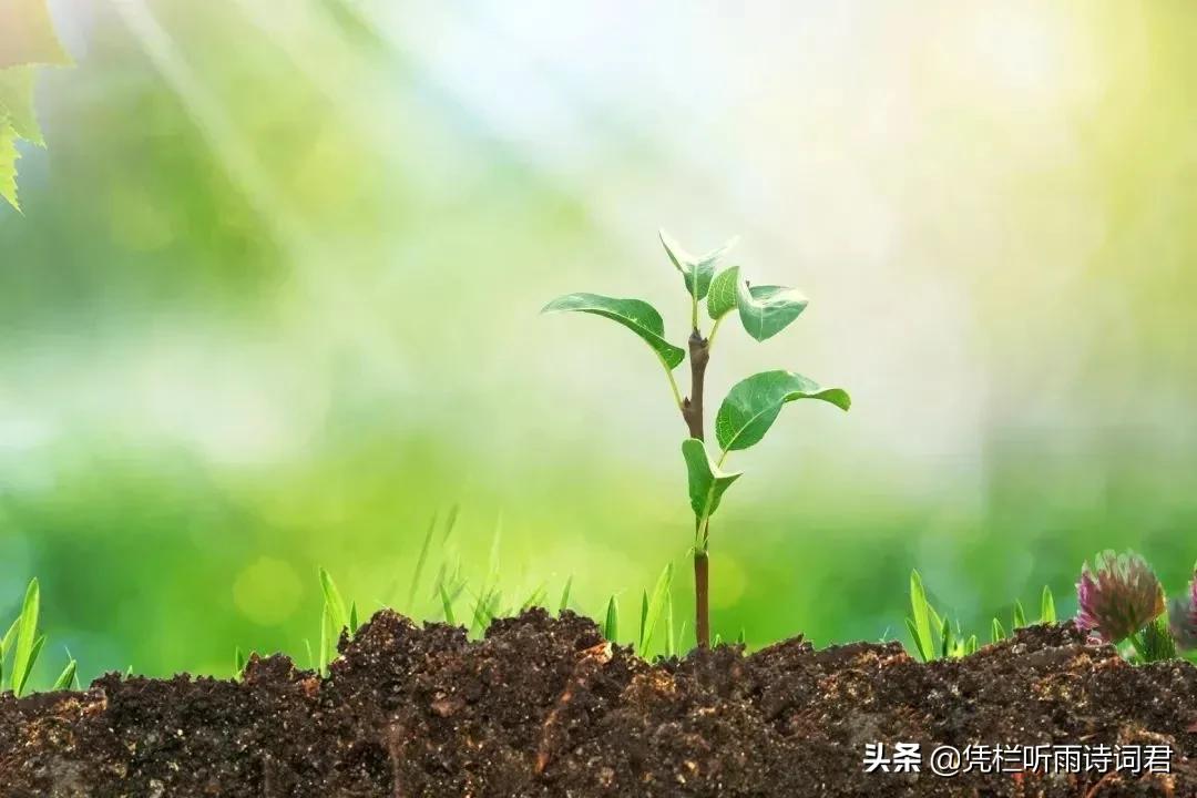 ＃读书＃管理分享——员工激励：《一天一根胡萝卜》4月17日