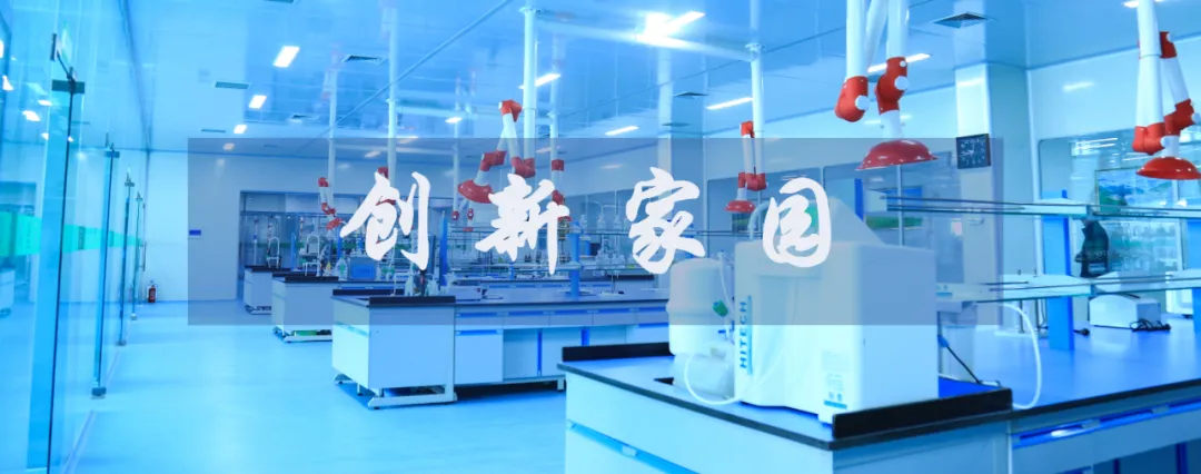 请回答,甘南2025!